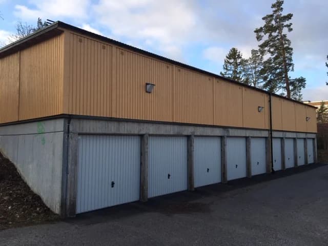 Skogåsen