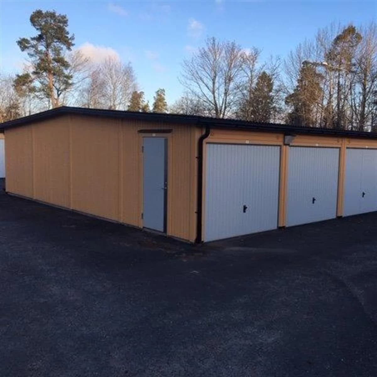 Skogåsen