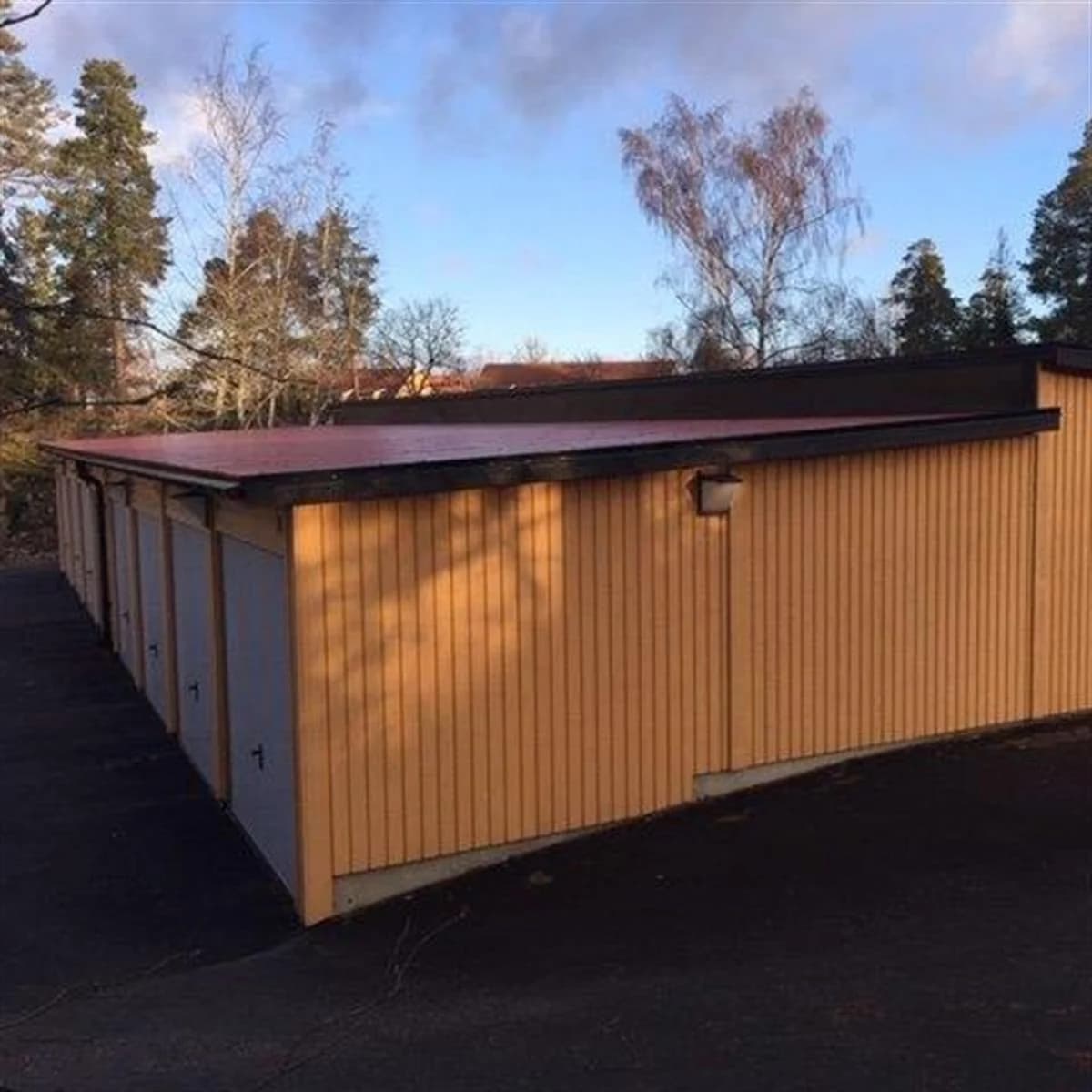 Skogåsen