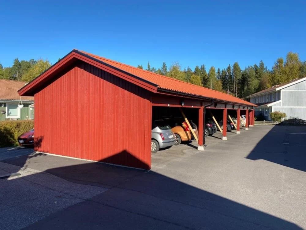 Björkträdet