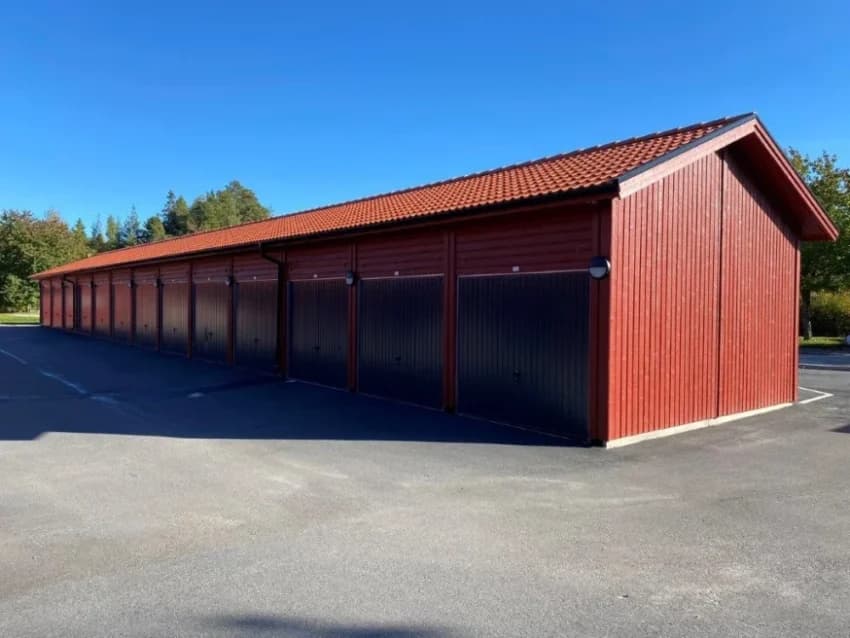 Björkträdet