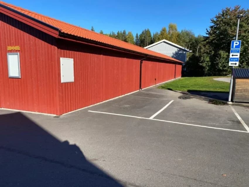 Björkträdet